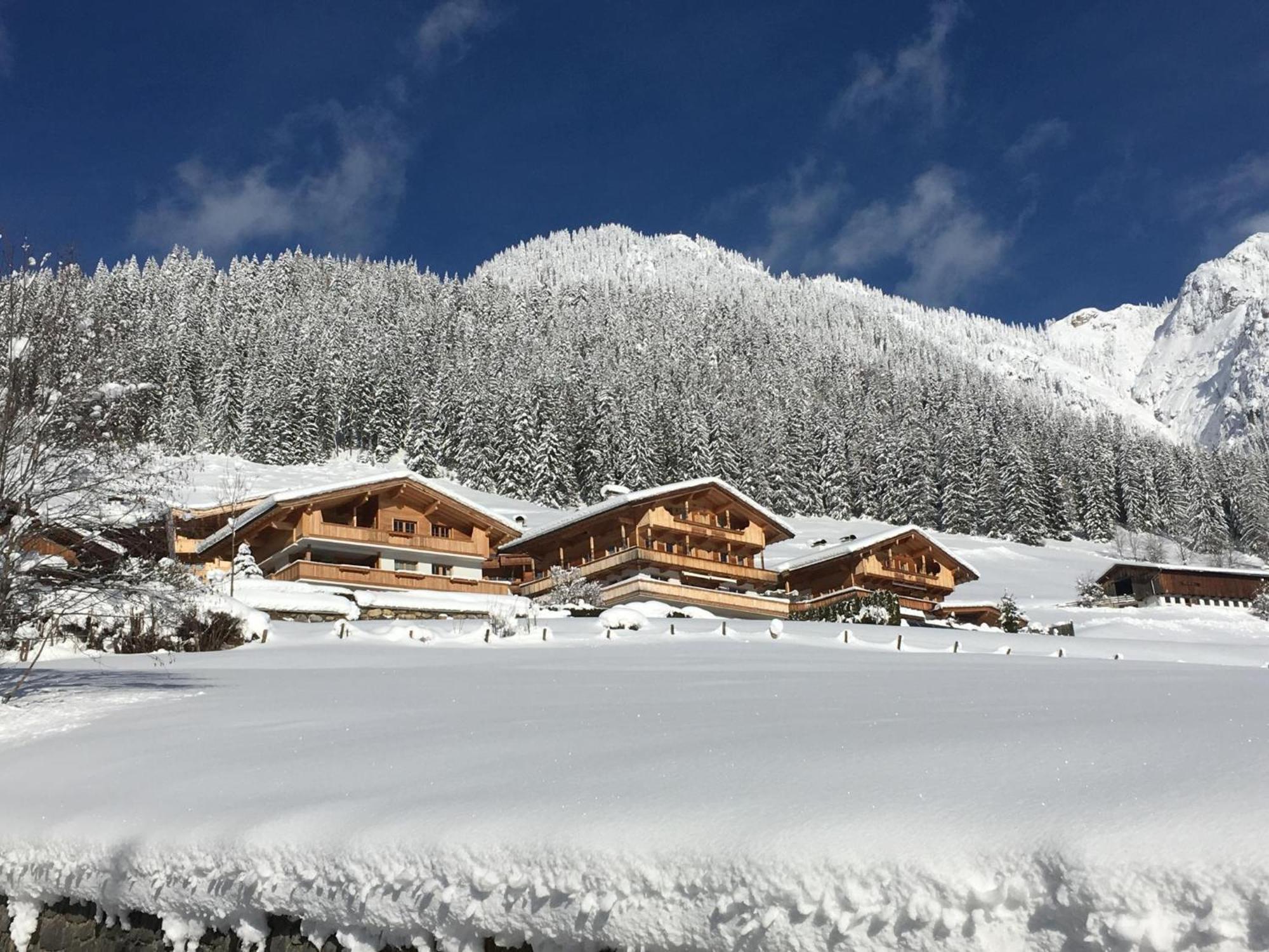 Haus Fernwald Top Tim Und Nynke Alpbach Luaran gambar
