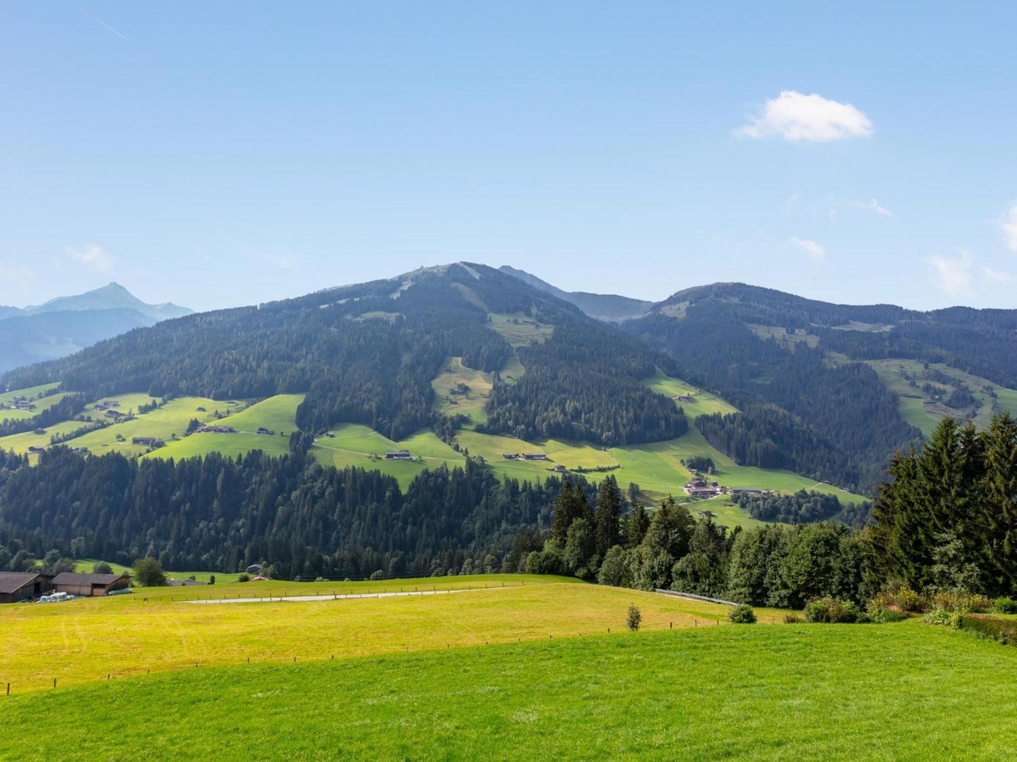 Haus Fernwald Top Tim Und Nynke Alpbach Luaran gambar
